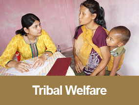 Tribal Welfare