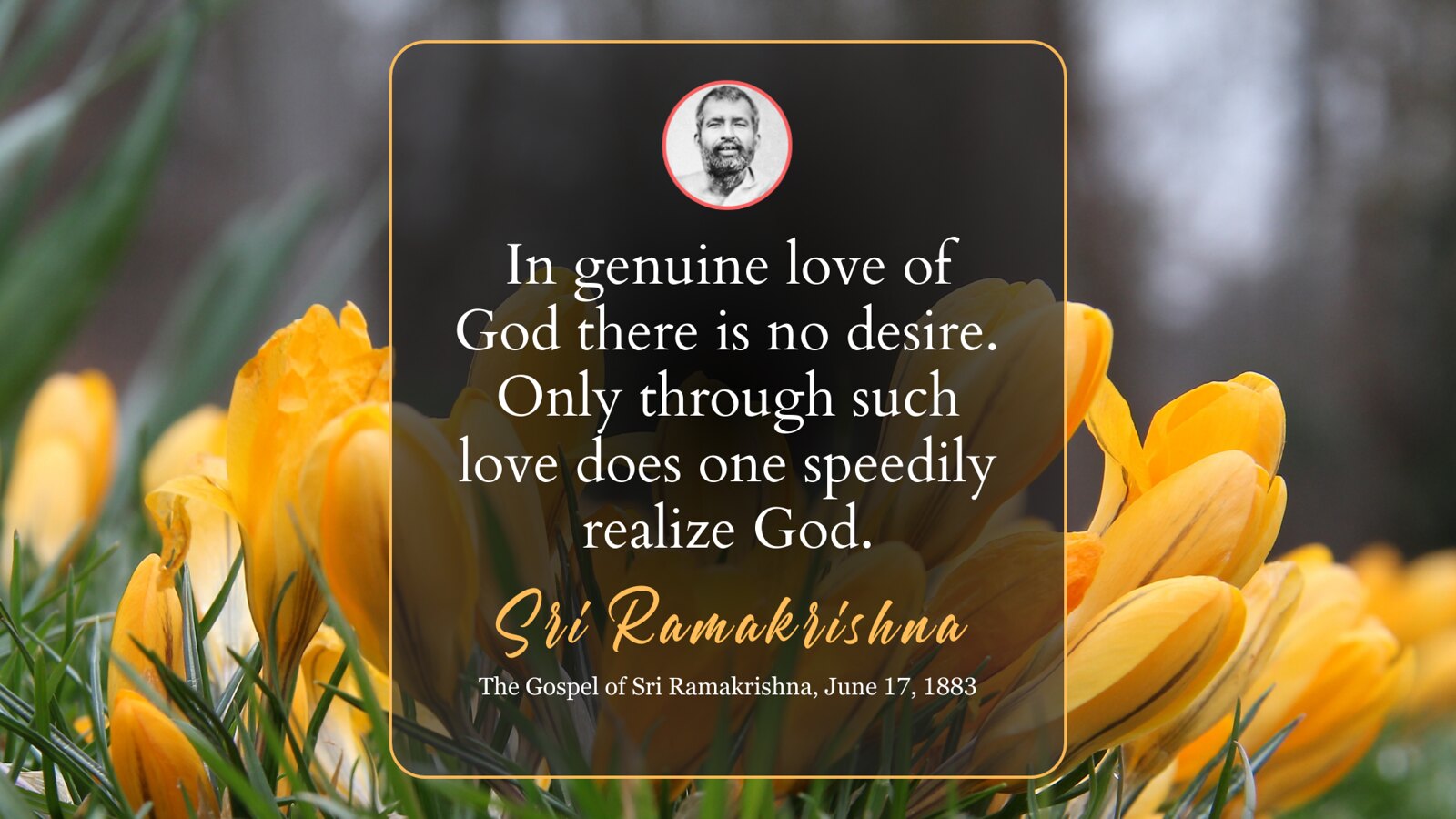 Daily Quote