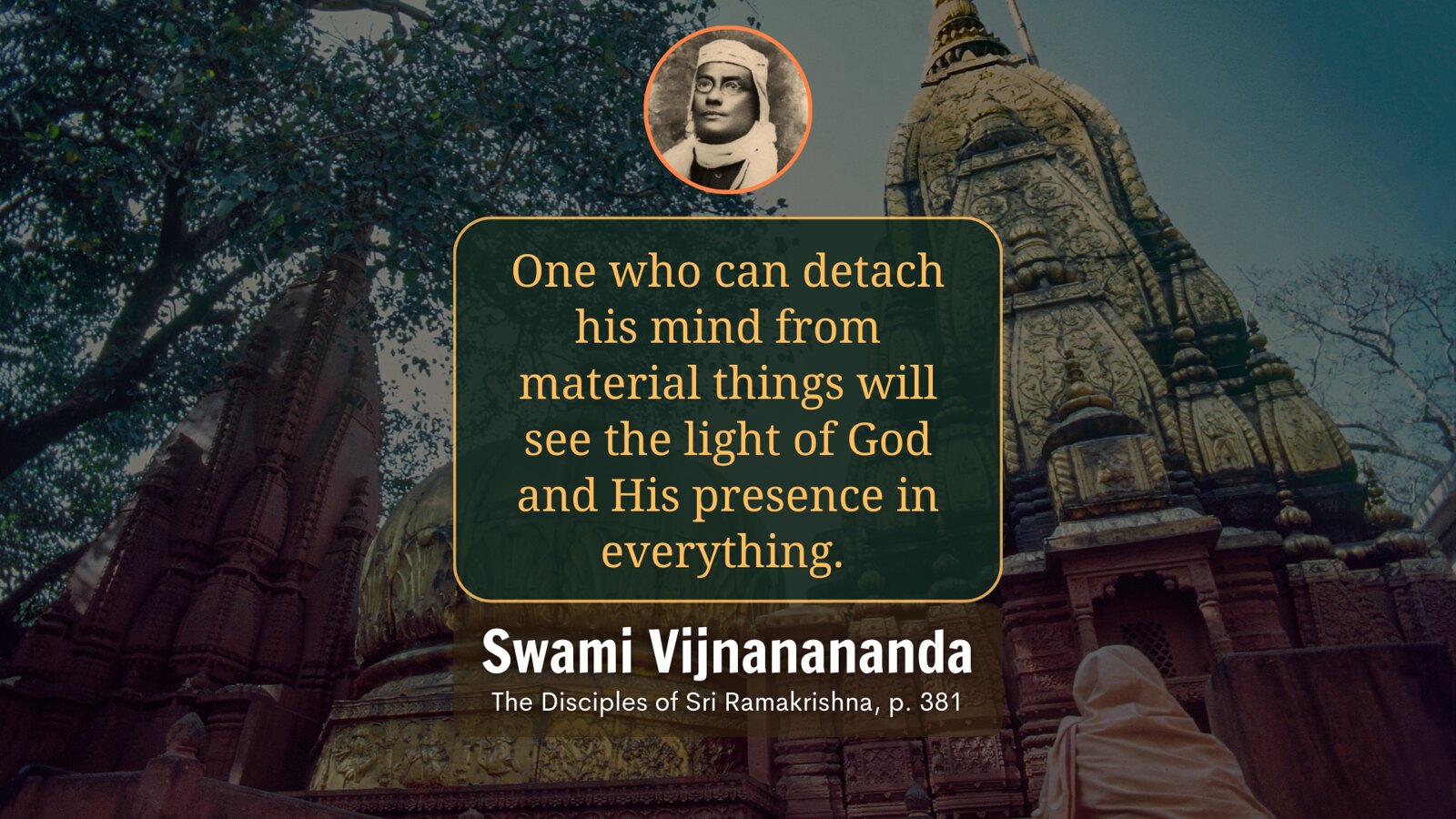 Daily Quote